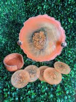 Peach Glow Resin Tray & Coaster Set